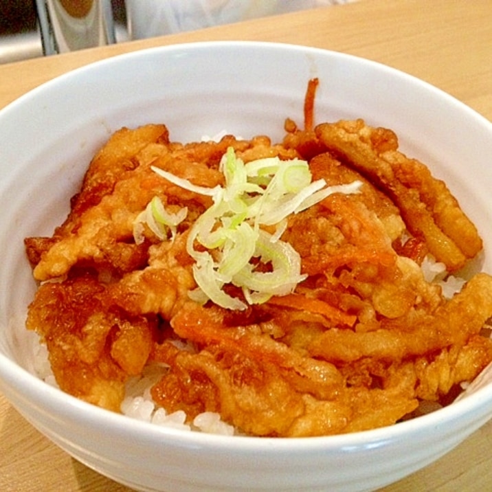 リメイクで美味しい！甘辛かき揚げ丼